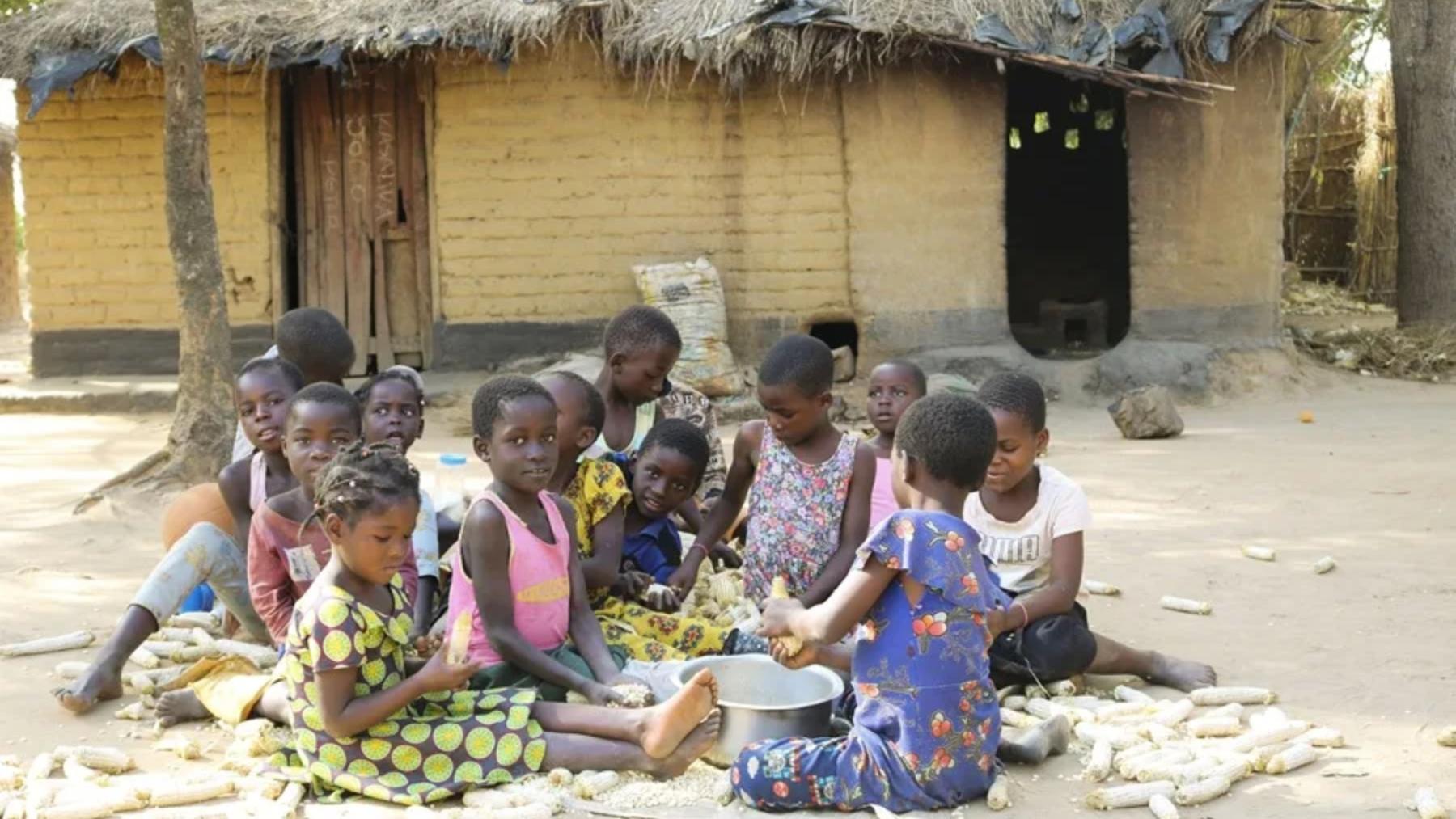 Un grupo de niños pela el escaso maíz recogido durante la última siembra en Malaui. 