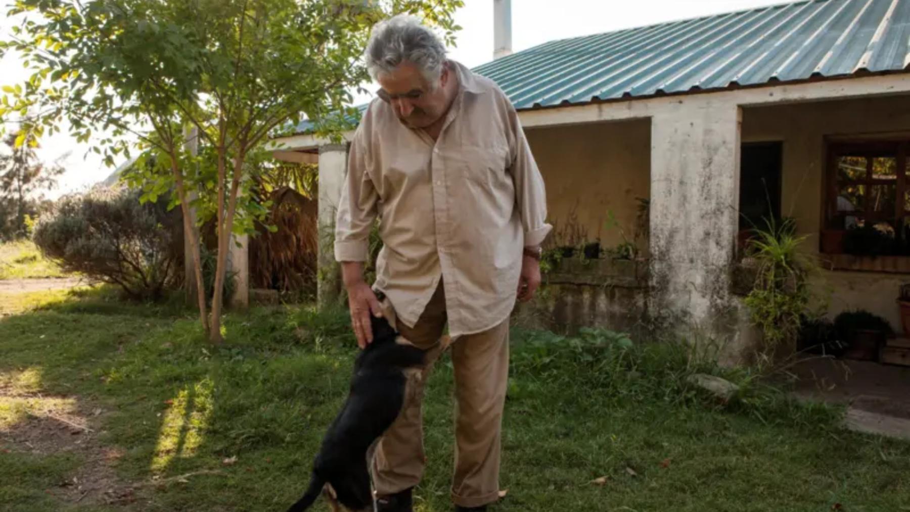 Mujica y su perra de tres patas Manuela, que murió en 2018: "Es el integrante más fiel que tuve en el gobierno", dijo en una entrevista con BBC Mundo.